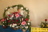 Competitions held on 11th March 2011-33